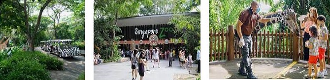 Singapore-Zoo